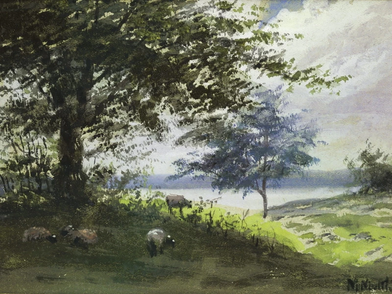 1837-Marmaduke Matthews - Pecore nell'ombra